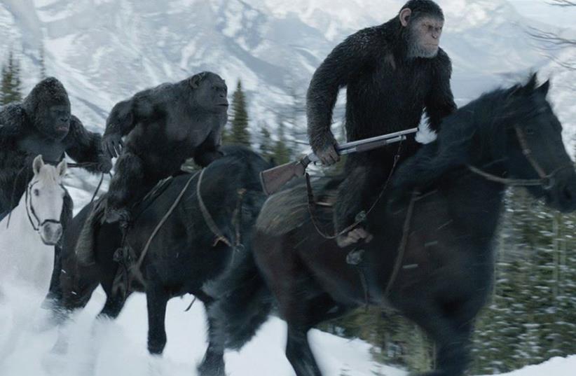 ‘War for the Planet of the Apes’ (photo credit: PR)