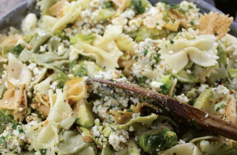 Bow-tie pasta with brussels sprouts, Gorgonzola and hazelnuts (photo credit: YAKIR LEVY)