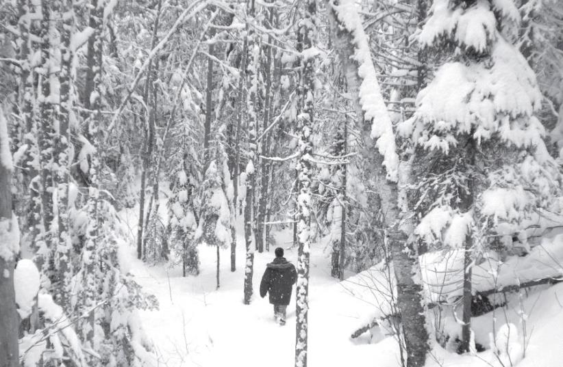 A man wandering around the snow (photo credit: Courtesy)