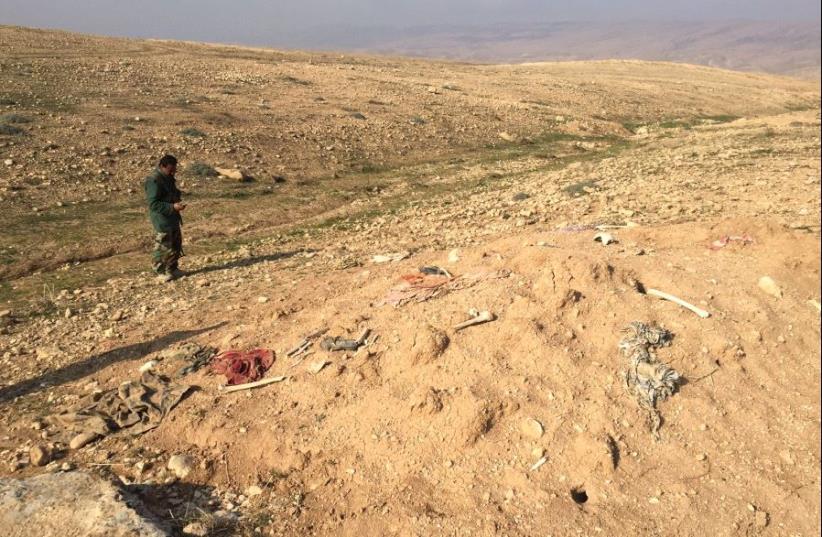 Two photos of mass grave sites near Sinjar in 2015 of Yazidis who were mass murdered by ISIS in the 2014 genocide. (photo credit: SETH J. FRANTZMAN)