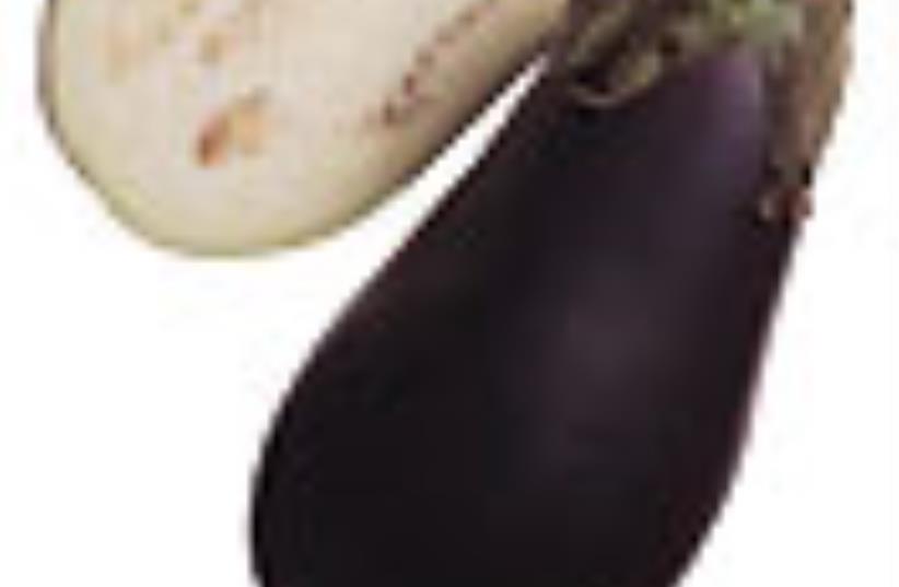 eggplant 88 (photo credit: Courtesy)