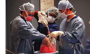 Surgeons preparing organ transplant (illustrative) - Photo: Michael Ainsworth/Dallas Morning News/MCT