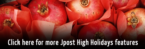 Click for full Jpost coverage