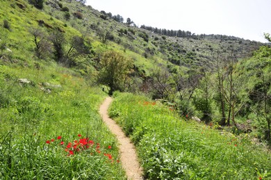 Israel hiking trails (Thinkstock/Imagebank)