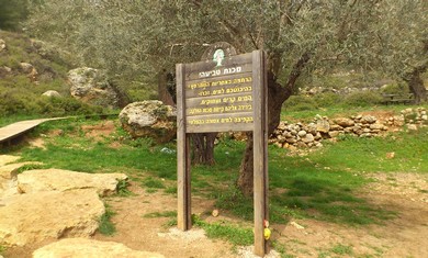 Hebrew sign at Ein Hagvura natural spring (Sharon Udasin)