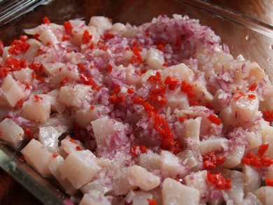 Panamanian Ceviche, before marinating (Gayle Squires)