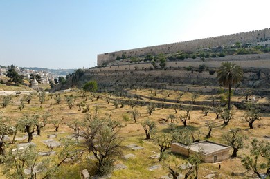 Kidron Valley (BiblePlaces.com)