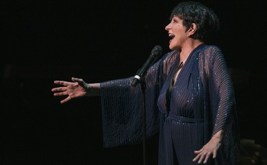Liza Minnelli performs during Marvin Hamlisch tribute (REUTERS/Lucas Jackson)