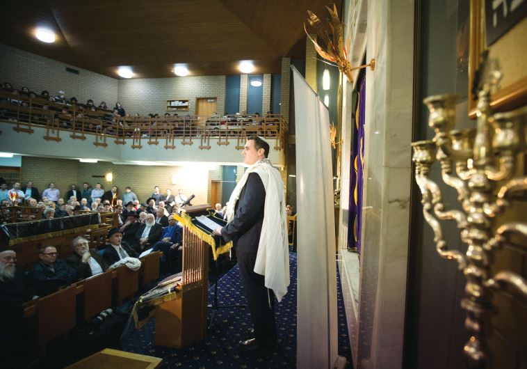 The Mizrachi Synagogue in Melbourne (photo credit: COURTESY OF DANNY LAMM)