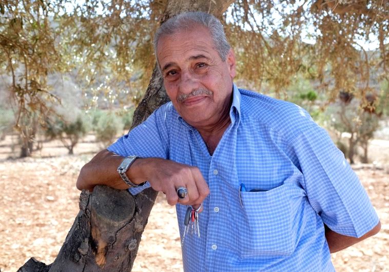 Nabeeh Aldeeb leans against one of his some 850 olive trees near the village of Akraba (Shaina Shealy)