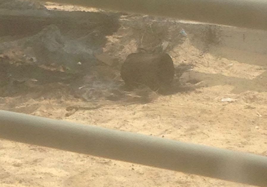 Explosive device found near Israel's border with Gaza. (IDF Spokesperson's Unit)