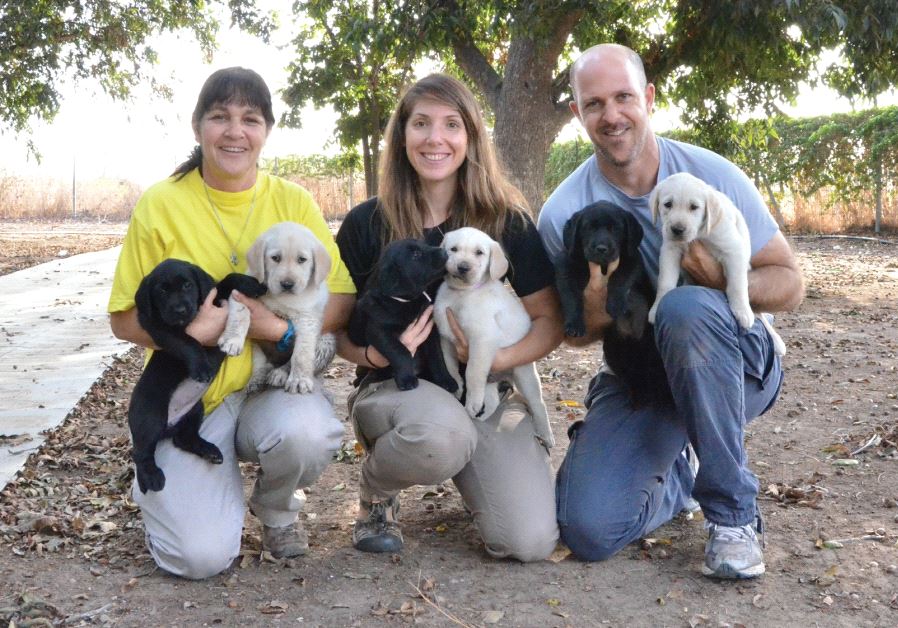 From the puppy-raising department: (from left) Orna Braun, Dana Halperin, Eli Ben-Boher (photo credit: ELI BEN BOHER)