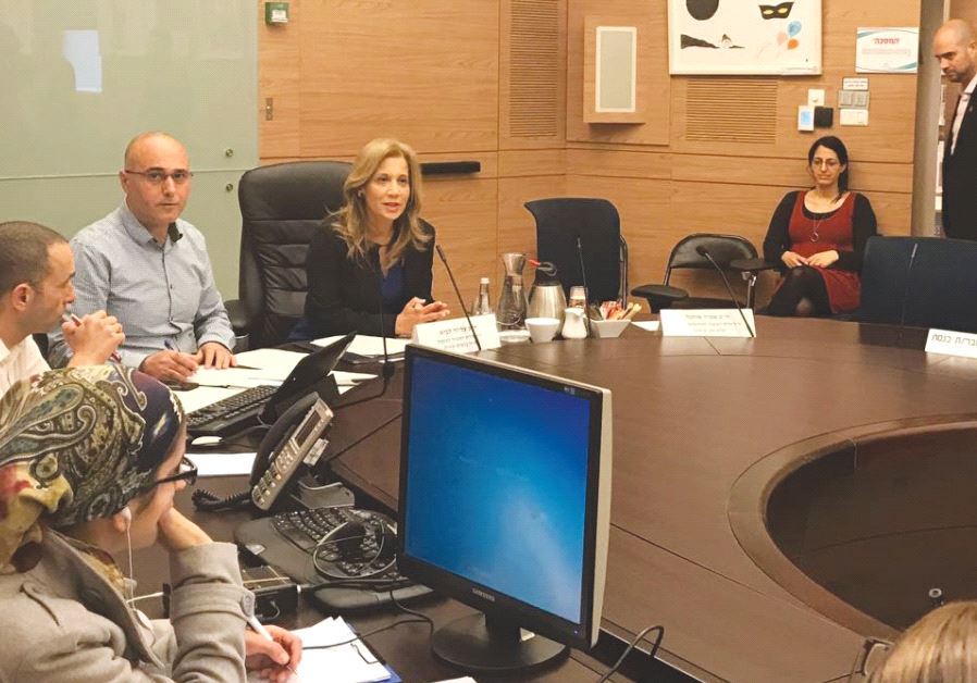 THE KNESSET Subcommittee on Combating Human Trafficking and Prostitution and the Subcommittee on Foreign Affairs and Defense meet yesterday to discuss the problem of prostitution in the IDF. (Courtesy)
