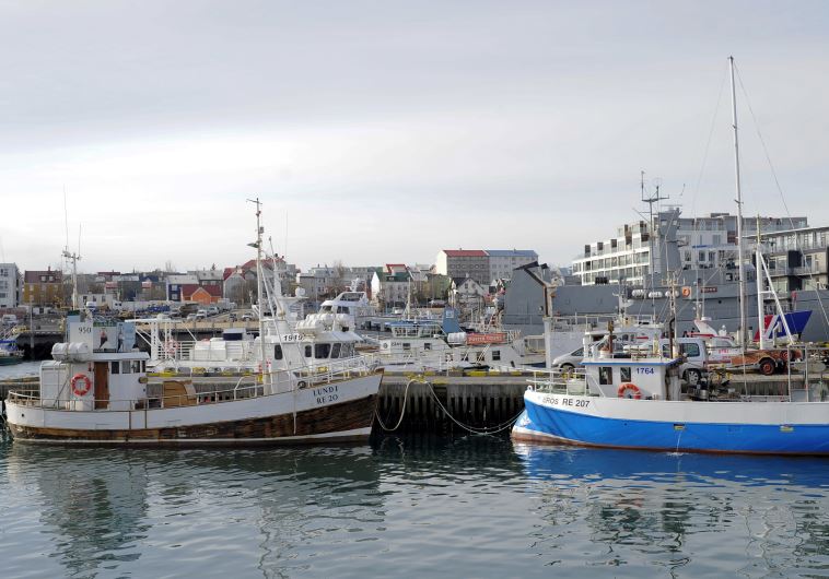 Fishermen's boats are seen docked at the Reykjavik harbour in Iceland March 24, 2015.