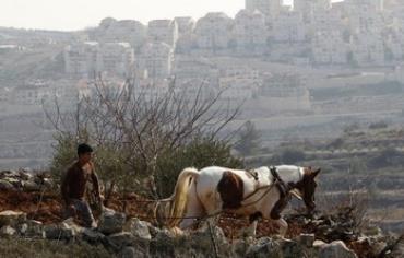 A Palestinian farmer in the West Bank ploughs his land.