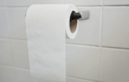 Toilet paper  (credit: INGIMAGE)