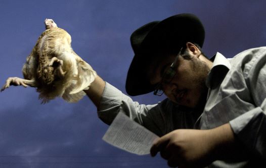An Ultra-Orthodox man holds a chicken as he performs the Kapparot ritual ahead of Yom Kippur [Illustrative] (credit: REUTERS)