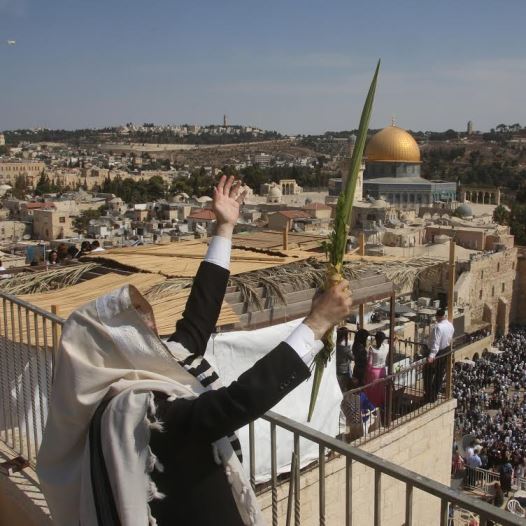 Man holding lulav.