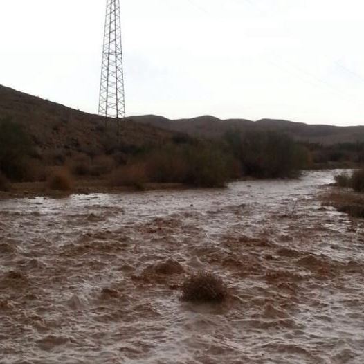 Flash flood in the South  (credit: ISRAEL NATURE AND PARKS AUTHORITY)