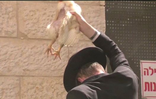 Kapparot ritual on Yom Kippur  (credit: screenshot)