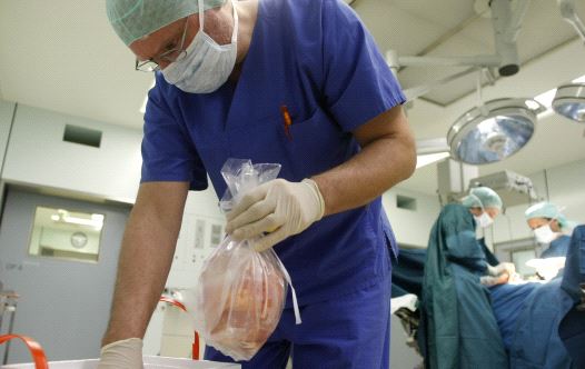 A surgeon puts a plastic bag containing a kidney into a box after an operation to extract organs.  (credit: REUTERS)