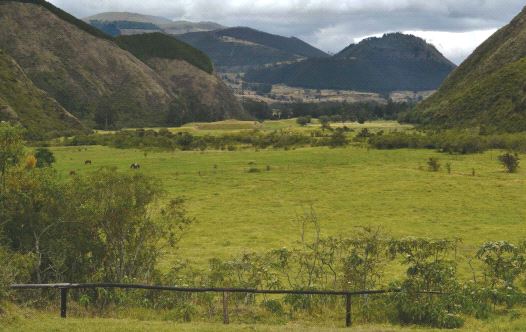 Hacienda Zuleta, in the Ecuadorian highlands
