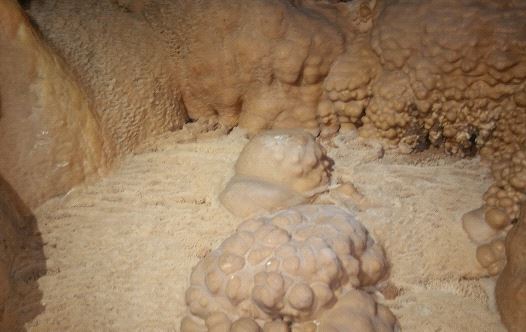 Rare Stalagmite provides a key to understand climate change - study - Vimarsana News