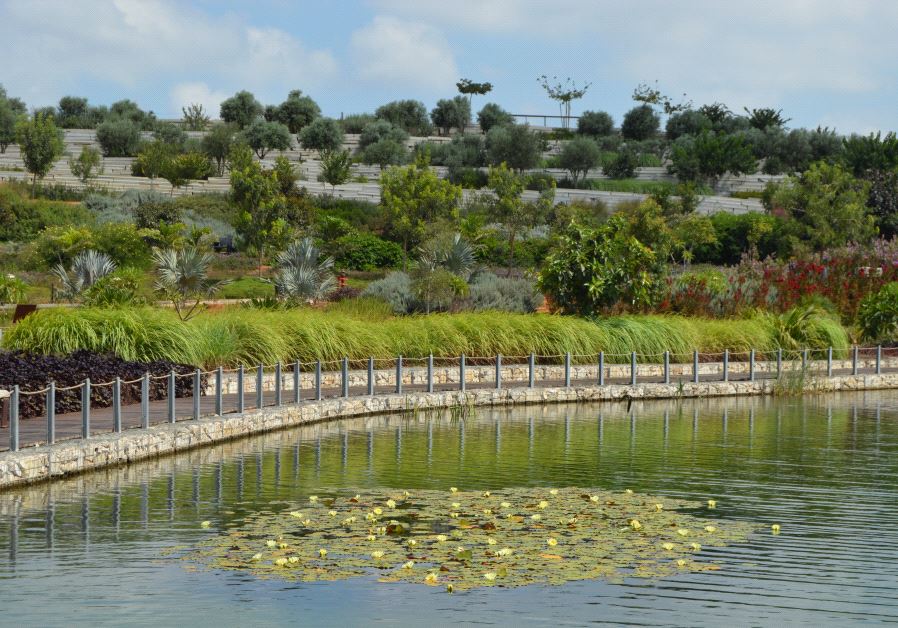 Ariel Sharon Park, built on the site of a former landfill once dubbed ‘Trash Mountain,' is an outstanding example of Israel’s cutting-edge approach to green solutions (Credit: JAMES S. GALFUND)