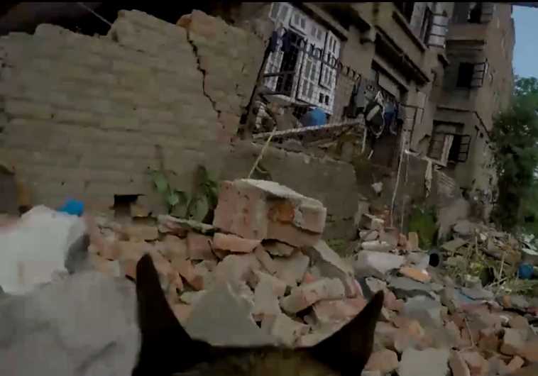 IDF search dog looks for survivors in rubble in Nepal