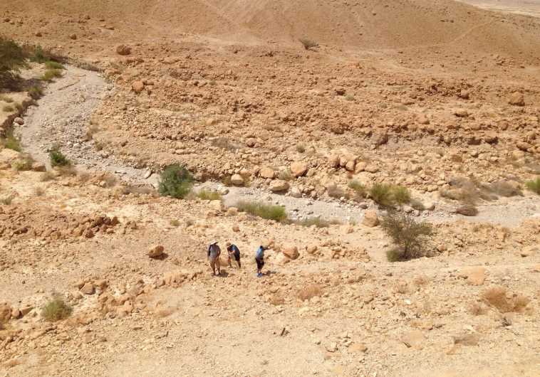 Scene of fatal accident at Massada‏.