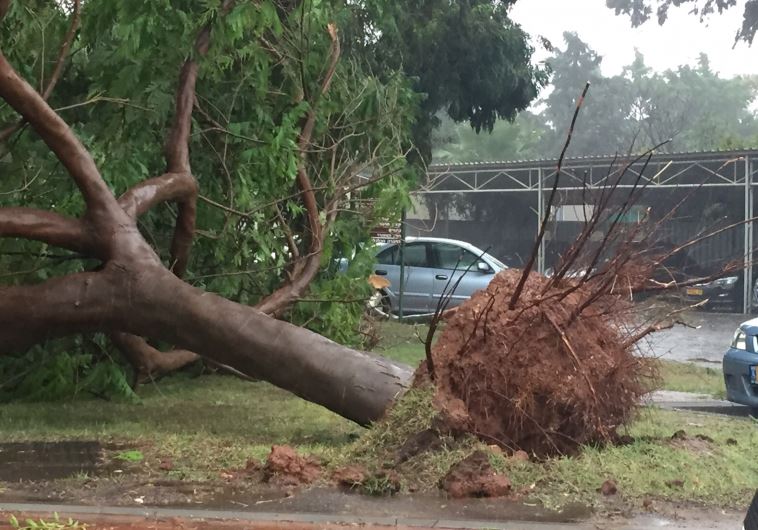 Stormy weather in Israel