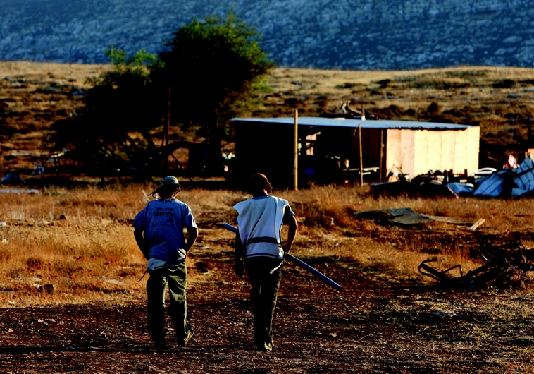 Les "jeunes des collines"