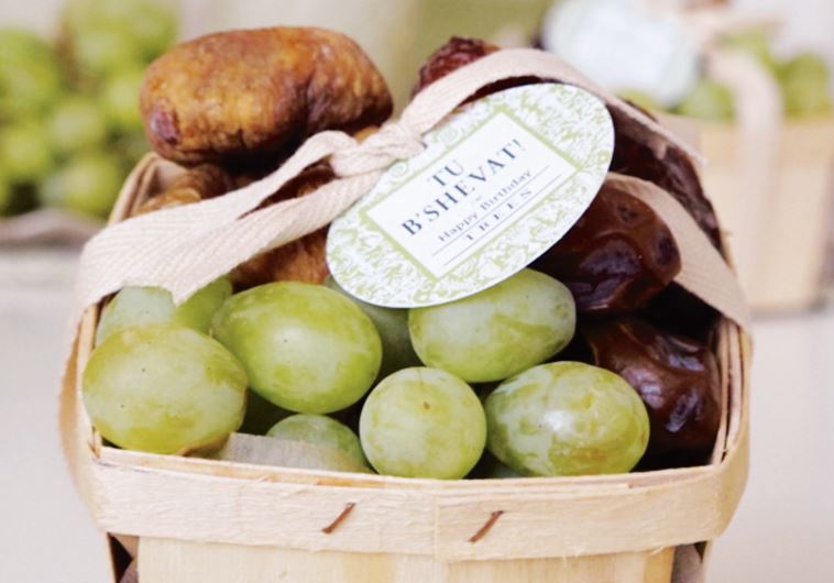 Tu Bishvat in Chana’s Art Room