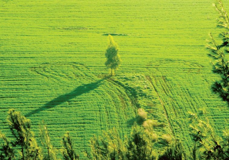 On the bike ride in Adullam Park