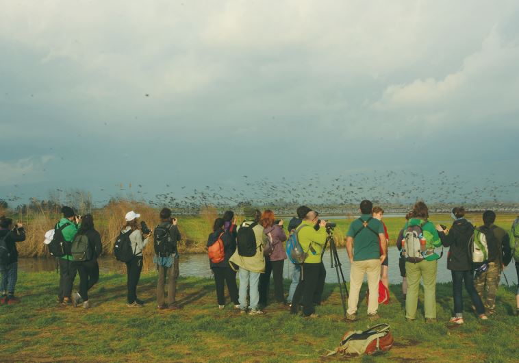 MEMBERS OF FIVE European environmental groups visit the Hula Valley last week