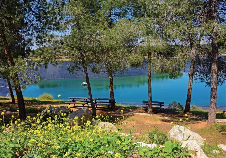 A good place for a picnic is the Yatir water reservoir