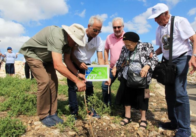 Cissy Harris,the last surviving  'Ochberg Orphan', combined tree planting with an annual visit to the Ochberg Lookout.
