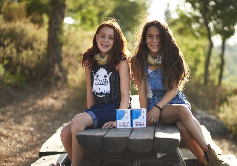 Summer Volunteering for Families in KKL-JNF Forests