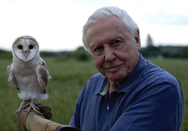 Sir David Attenborough’s new TV series Conquest of the Skies