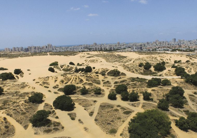 Les dunes d’Ashdod