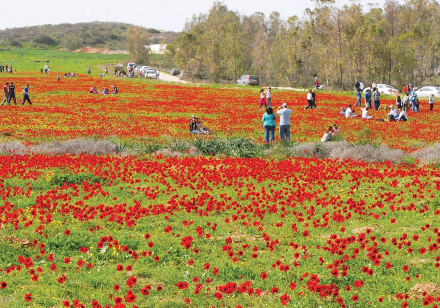 ‘Darom Adom’ festival