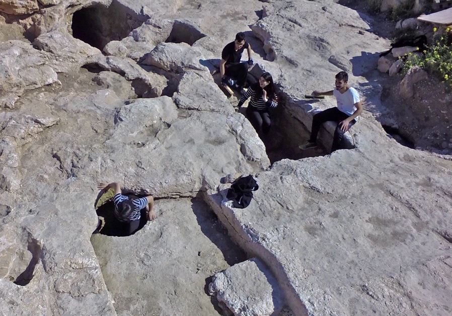 Boyer High School students participating in the archaeological excavations