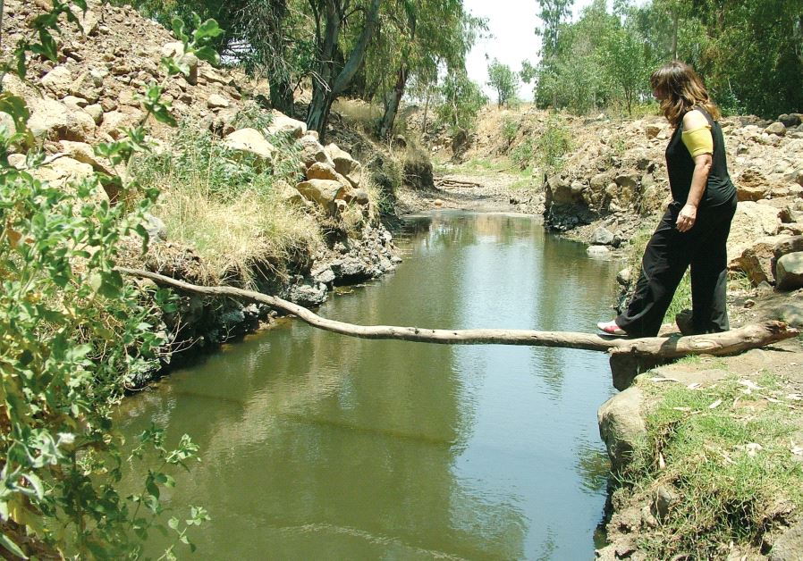 Bridge over tranquil water at Einot Fahm Nature Reserve